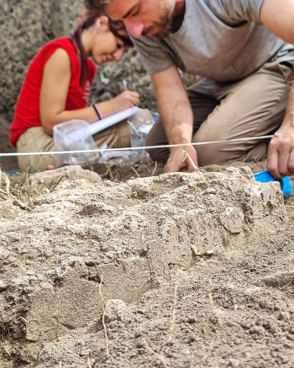 PRAEDIAproject (@praediaproject) on Twitter photo Nell'area 3, i nostri archeologi hanno riportato alla luce un pozzo circolare con le pareti intonacate.
Così, una nuova informazione si aggiunge alla ricostruzione storica del sito iniziata durante le campagne di scavo precedenti. 
#pompeii #archaeology Nell'area 3, i nostri archeologi hanno riportato alla luce un pozzo circolare con le pareti intonacate.
Così, una nuova informazione si aggiunge alla ricostruzione storica del sito iniziata durante le campagne di scavo precedenti. 
#pompeii #archaeology