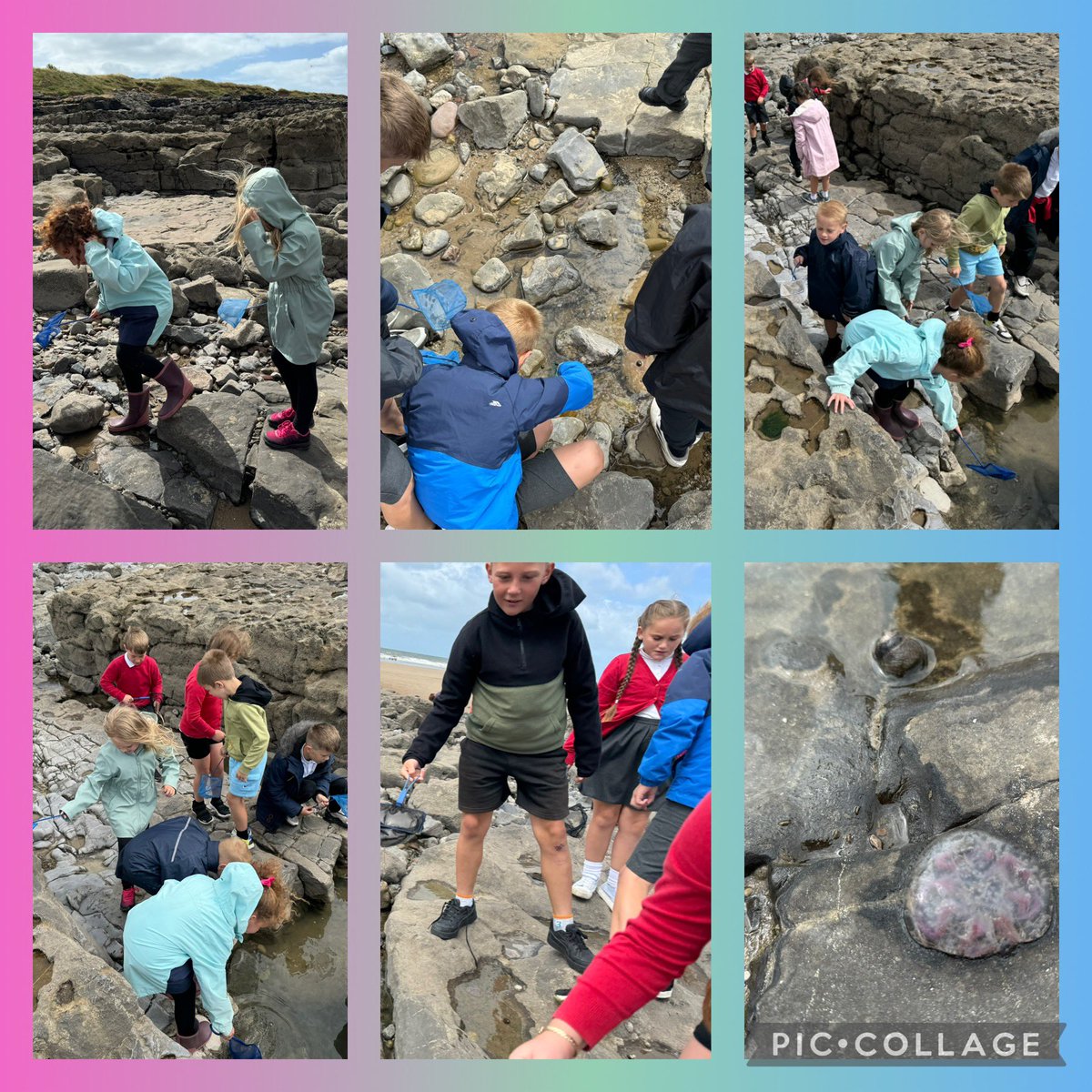 Miss Davies & Mrs Field (@gspriyear4) on Twitter photo What a day!! Although it was very windy we loved our day at the beach, rock pooling and making pebble art. We know how lucky we are to have <a href="/Jonestheforest2/">JonestheforestGSPri</a> who is teaching us all about the beach. 🏖️ also thank you to Miss Smith for driving the second bus 🚌 What a day!! Although it was very windy we loved our day at the beach, rock pooling and making pebble art. We know how lucky we are to have <a href="/Jonestheforest2/">JonestheforestGSPri</a> who is teaching us all about the beach. 🏖️ also thank you to Miss Smith for driving the second bus 🚌
