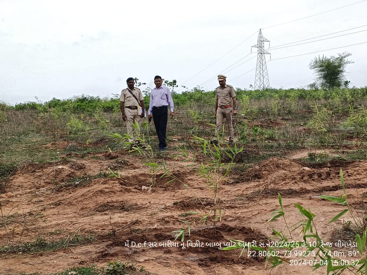 DCFBaria tweet media