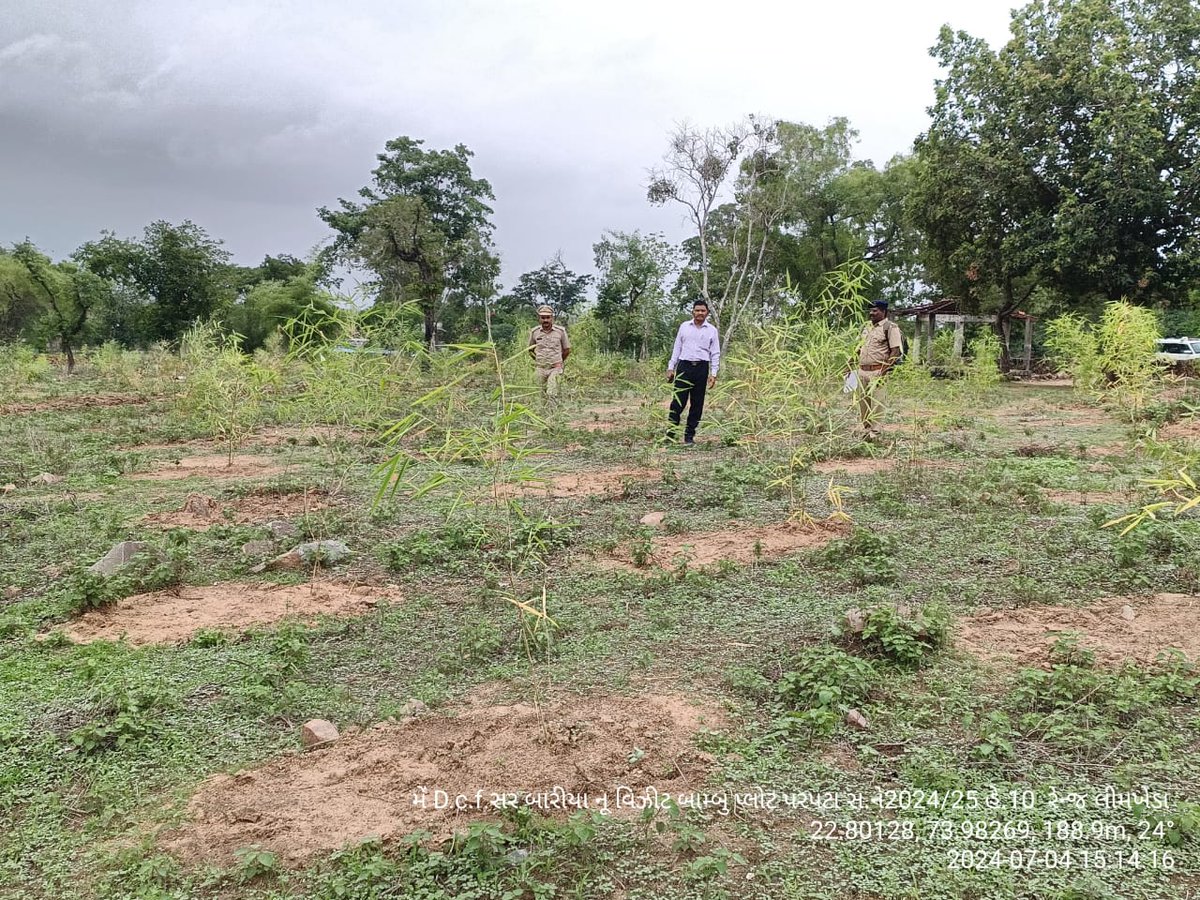 DCFBaria tweet media