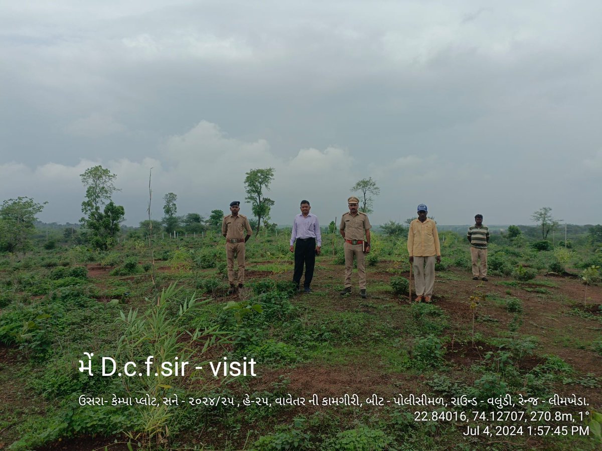 DCFBaria tweet media