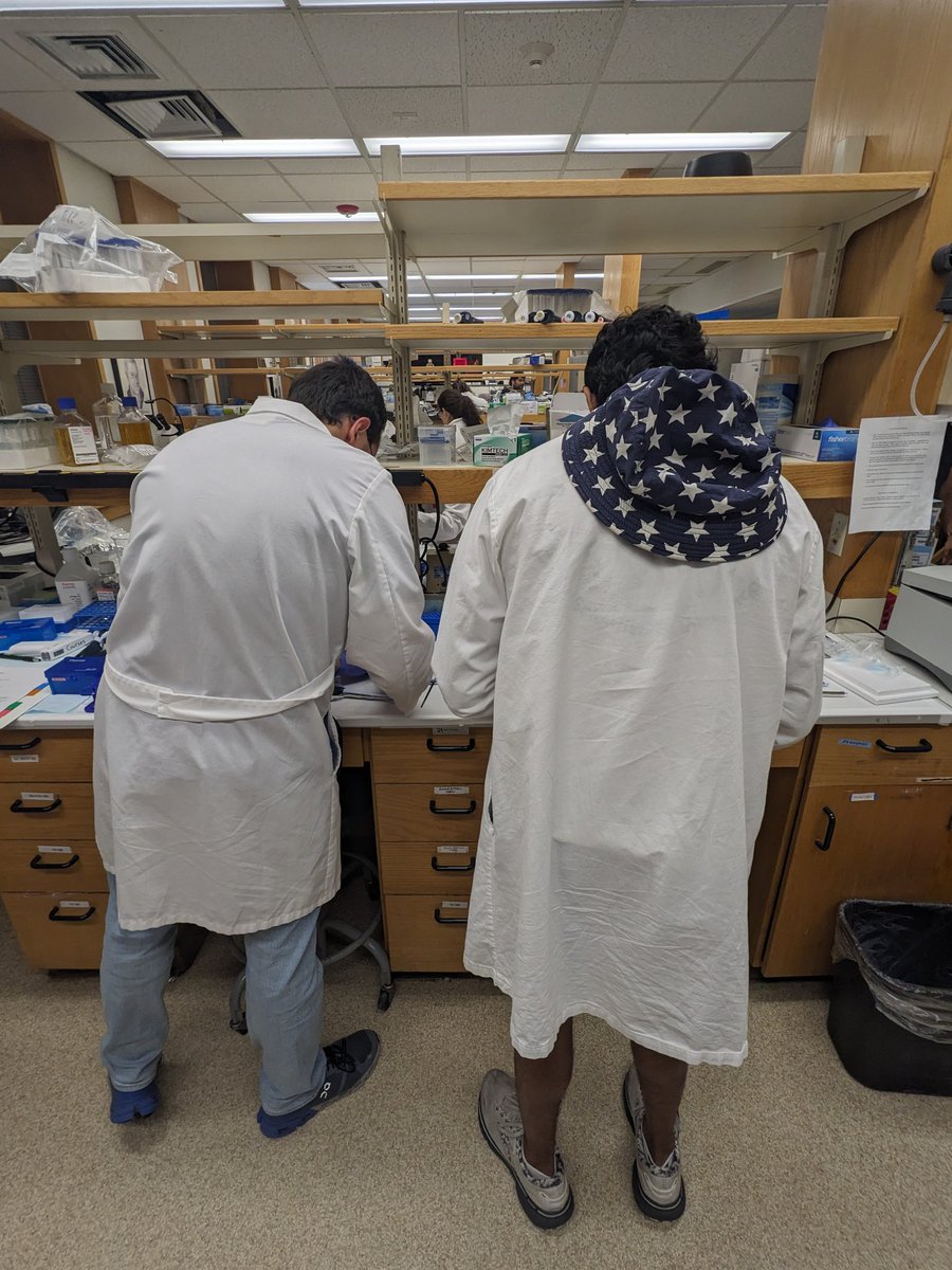 Happy 4th of July from #ATMN24 we are preparing nuclei for ATACseq and Cut&amp;Run to kick off our molecular extravaganza weekend 🎆🎇 @tollkuhn <a href="/brunogegenhuber/">Bruno Gegenhuber</a> <a href="/lab_schaefer/">Schaefer Lab</a>