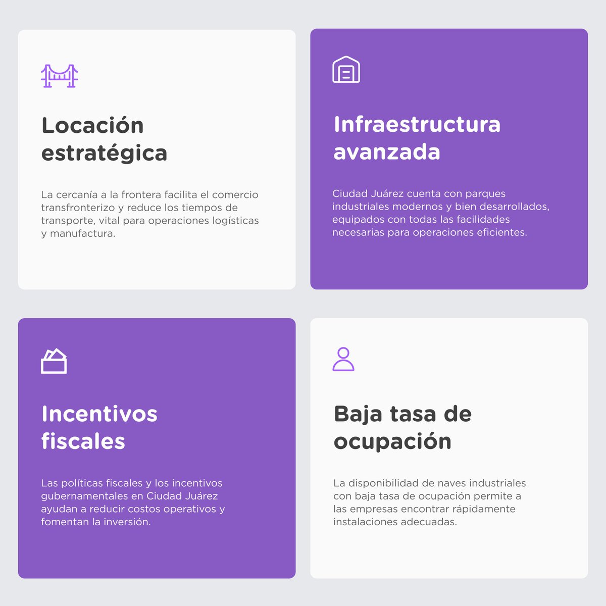 buzzstreetmx tweet media