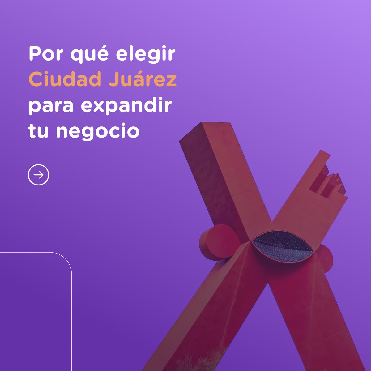 buzzstreetmx tweet media