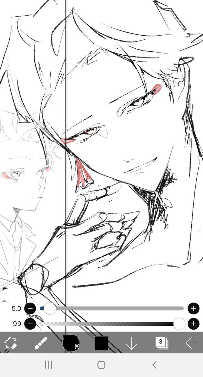 タイムリーすぎるので先にビビデバ描かせて下さ……phも描いてるので…