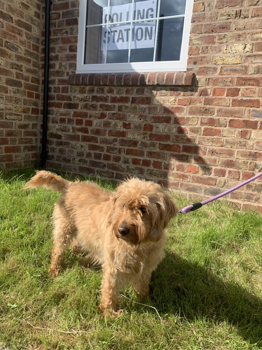 Joe Banks tweet media