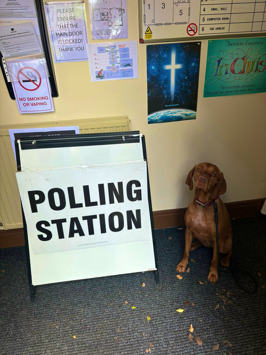 Luna looking very unimpressed 😅 #dogsatpollingstations