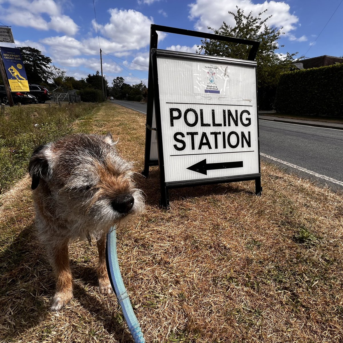 Kathryn Sharples tweet media