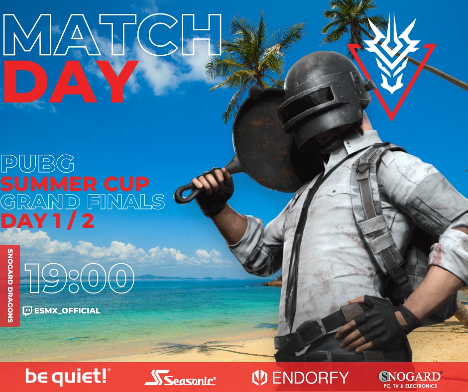 SNOGARD Dragons 🐉 tweet media