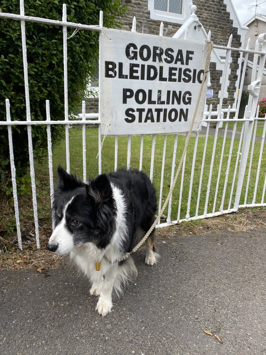 ____NME____'s tweet image. #dogsatpollingstations