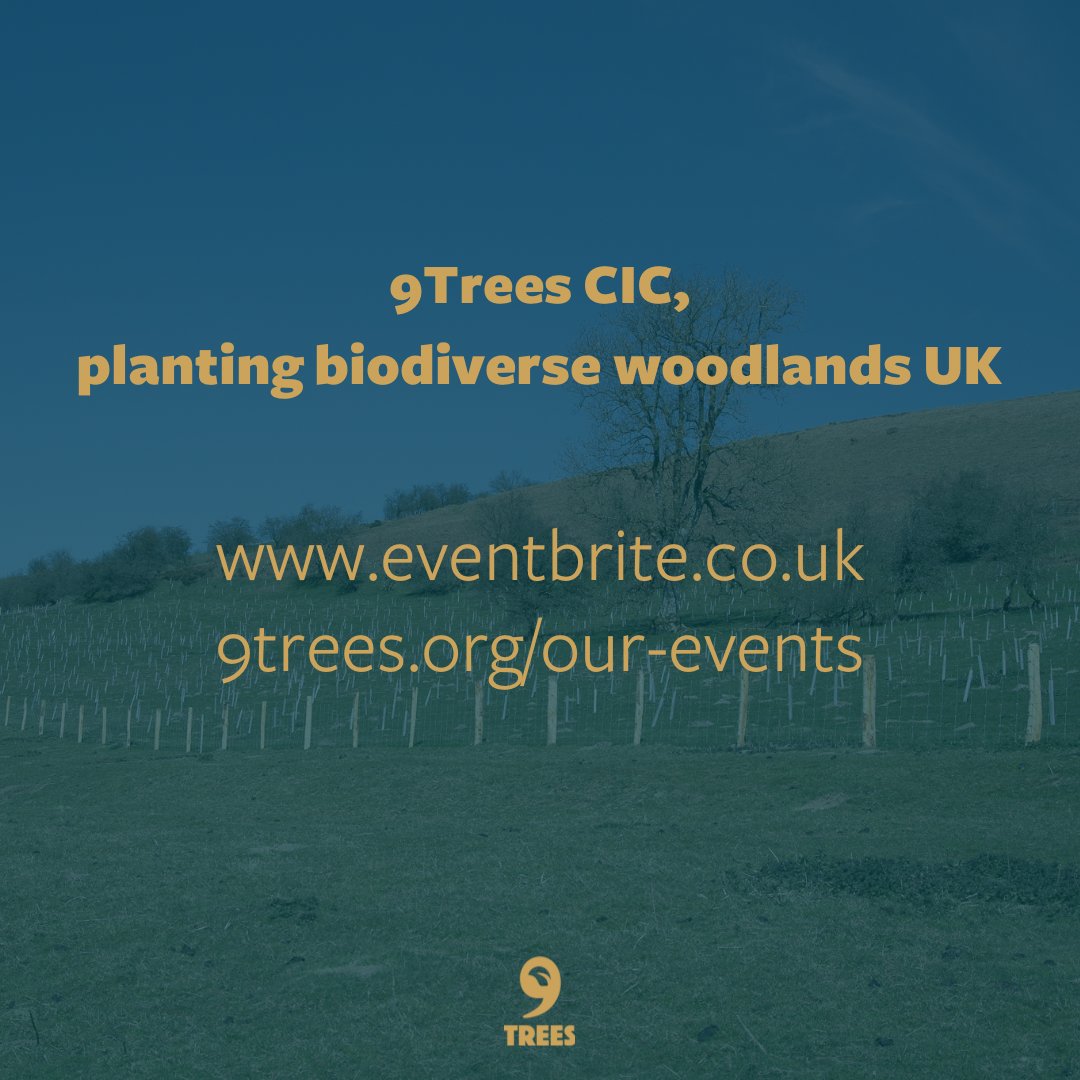 9Trees CIC tweet media