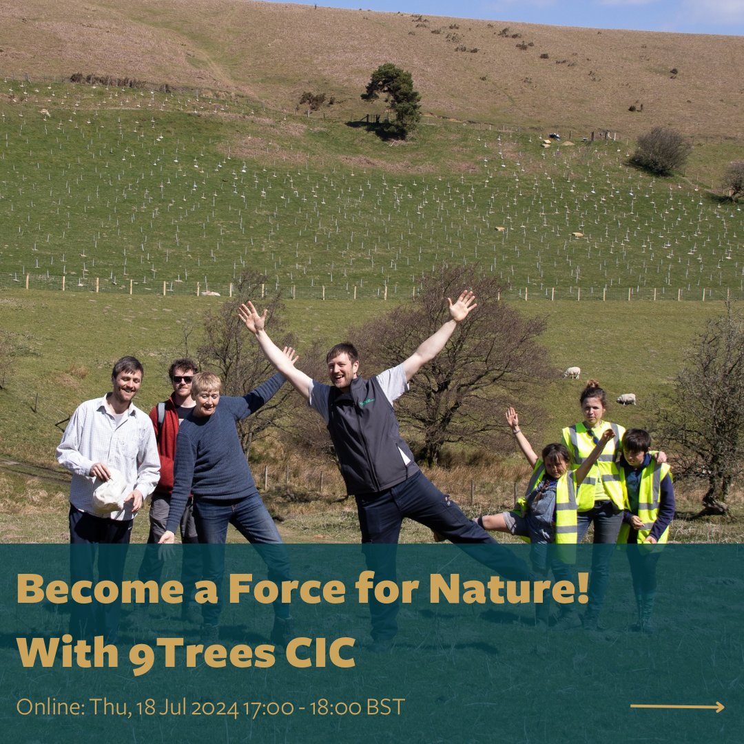 9Trees CIC tweet media