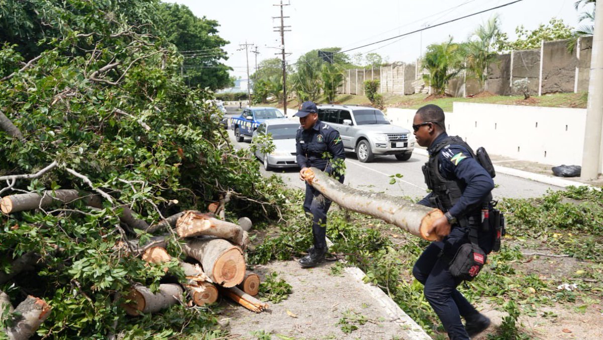 JamaicaConstab's tweet photo. Police Officers are playing a critical role in the post-hurricane clean-up efforts. We are ensuring public safety by helping to remove obstacles that could impede traffic or cause accidents. https://t.co/3Jzkyq0uMK