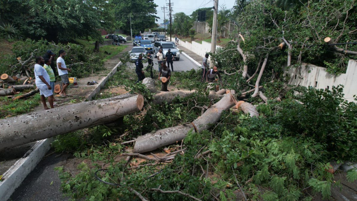 JamaicaConstab's tweet photo. Police Officers are playing a critical role in the post-hurricane clean-up efforts. We are ensuring public safety by helping to remove obstacles that could impede traffic or cause accidents. https://t.co/3Jzkyq0uMK