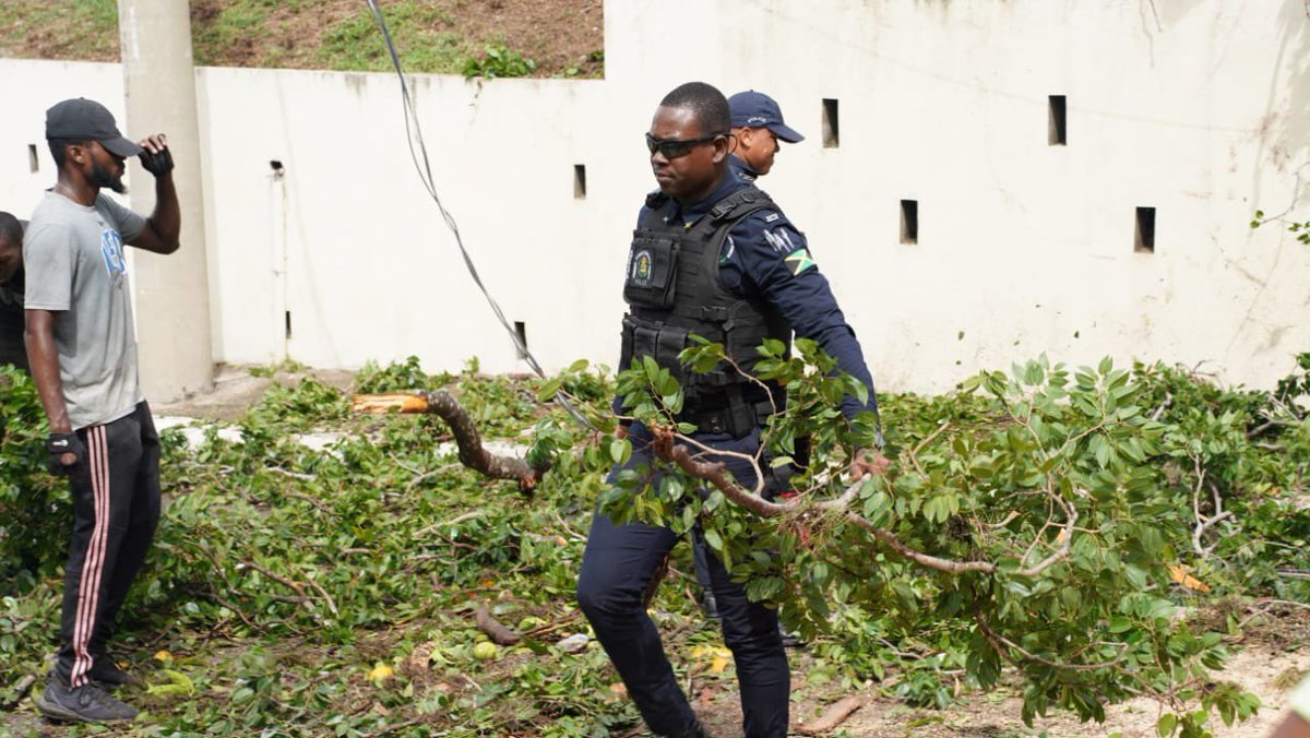 JamaicaConstab's tweet photo. Police Officers are playing a critical role in the post-hurricane clean-up efforts. We are ensuring public safety by helping to remove obstacles that could impede traffic or cause accidents. https://t.co/3Jzkyq0uMK