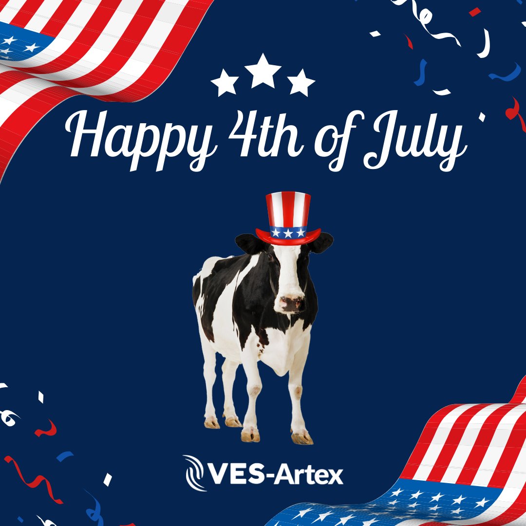 Land of the free &amp; home of the brave. Happy 4th of July! 🎆