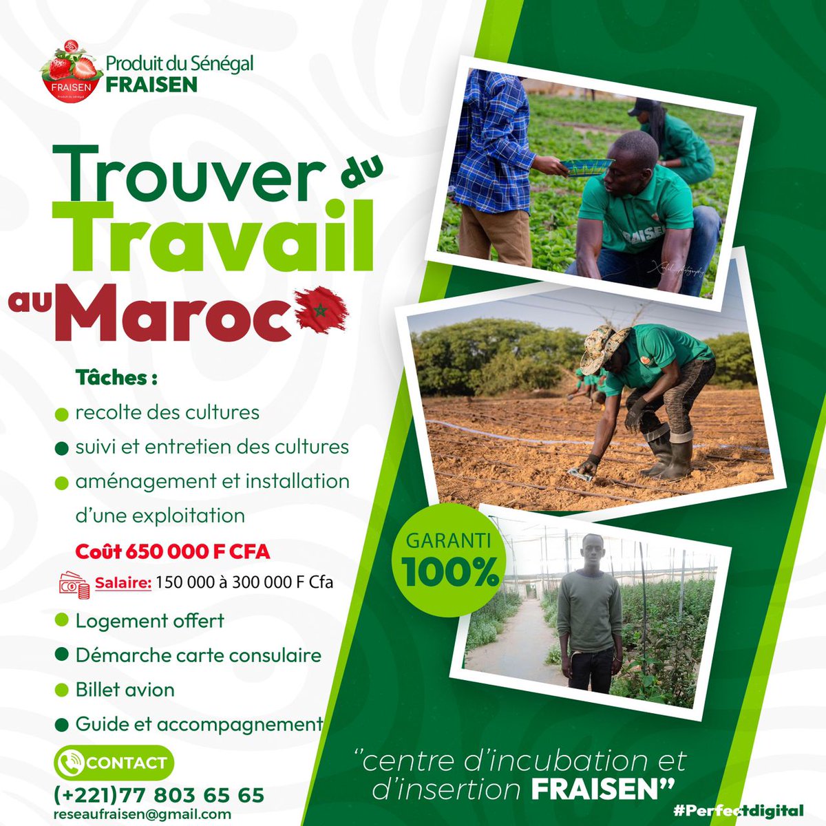 Robilife 🇸🇳🇸🇳🇵🇸🇵🇸 tweet media