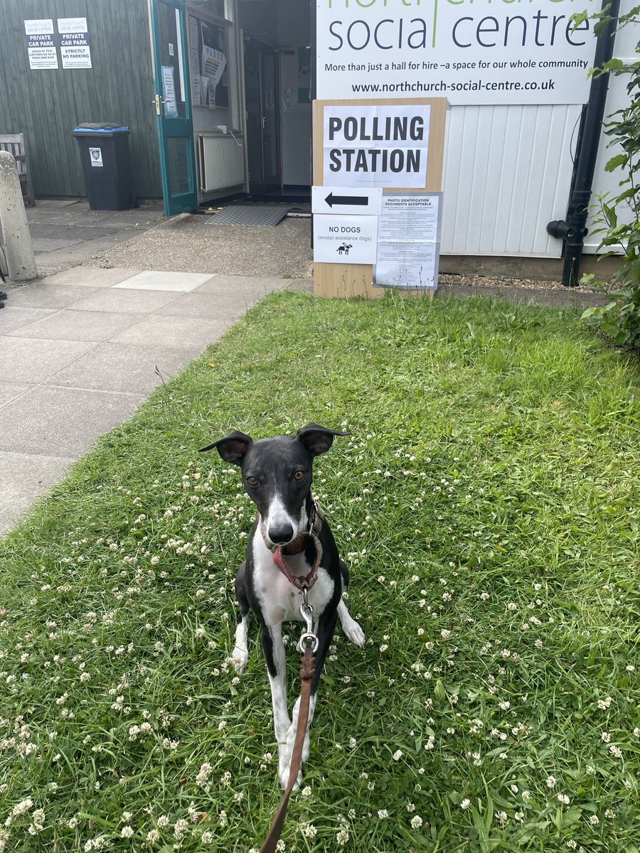 Kirby’s been waiting for this moment for a long time! #dogsatpollingstations