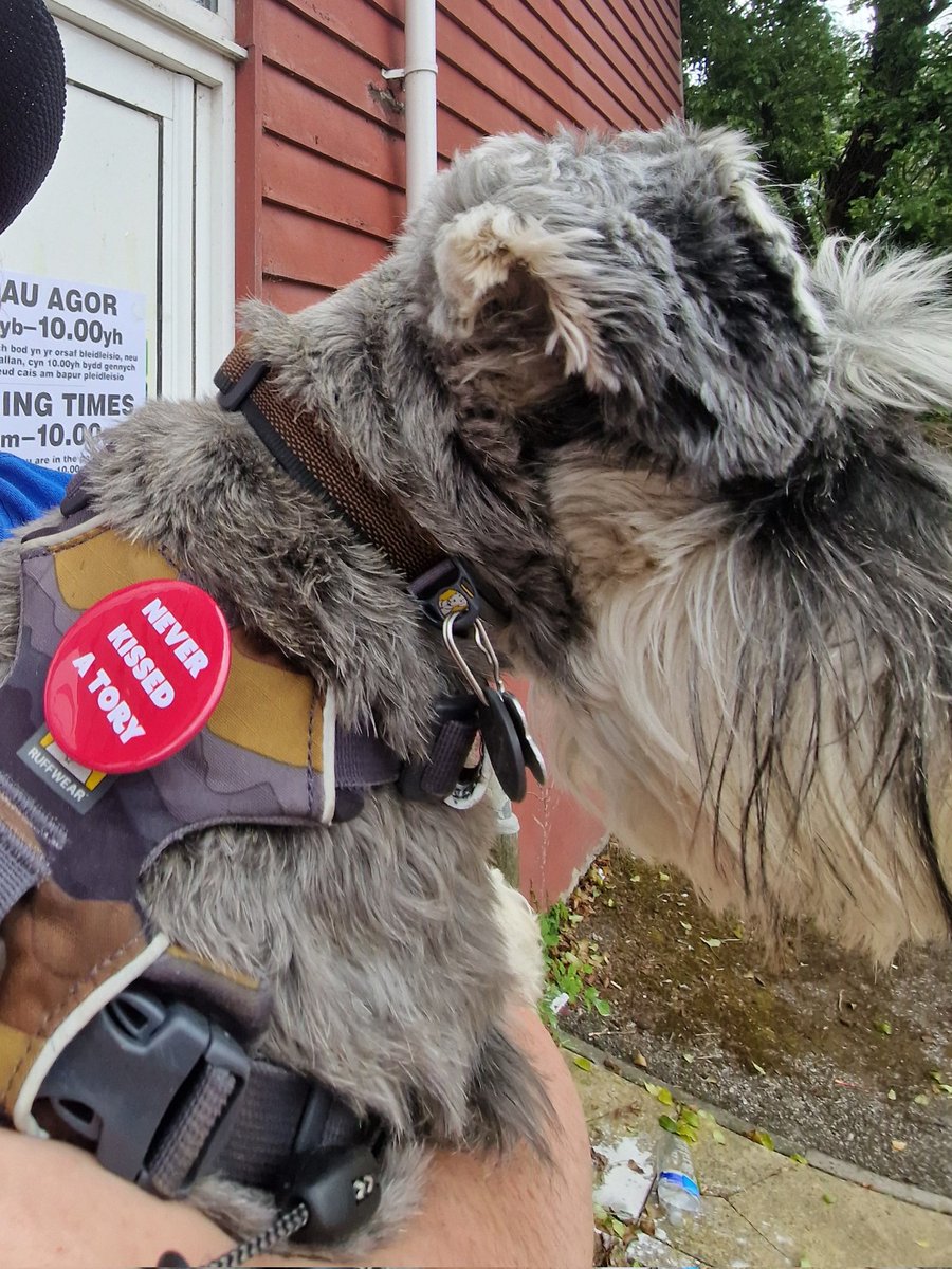 True. Sent them a few terse pee-mails though. #dogsatpollingstations