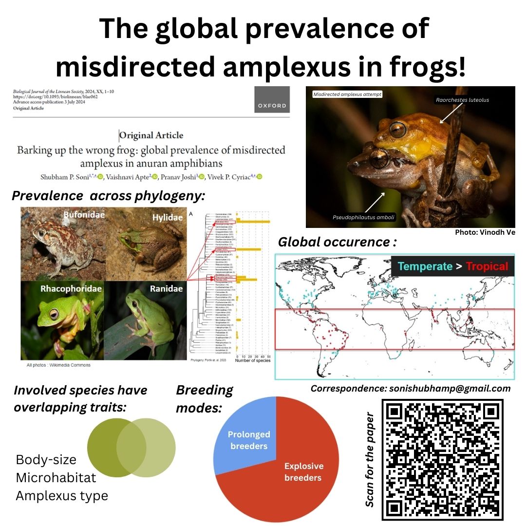 Shubham Soni (@shubhampsoni) on Twitter photo My first research paper just got published!!!!!
with <a href="/VivekCyriac/">Vivek Philip Cyriac</a> <a href="/VaishnaviApte99/">Vaishnavi Apte</a> <a href="/PranavJoshi2001/">Pranav Joshi</a> <a href="/BiolJLinnSoc/">Biological Journal of the Linnean Society</a>
"Barking up the wrong frog: global prevalence of misdirected amplexus in anuran amphibians"
We asked - when, where and which (ones) make erroneous mating attemps? My first research paper just got published!!!!!
with <a href="/VivekCyriac/">Vivek Philip Cyriac</a> <a href="/VaishnaviApte99/">Vaishnavi Apte</a> <a href="/PranavJoshi2001/">Pranav Joshi</a> <a href="/BiolJLinnSoc/">Biological Journal of the Linnean Society</a>
"Barking up the wrong frog: global prevalence of misdirected amplexus in anuran amphibians"
We asked - when, where and which (ones) make erroneous mating attemps?