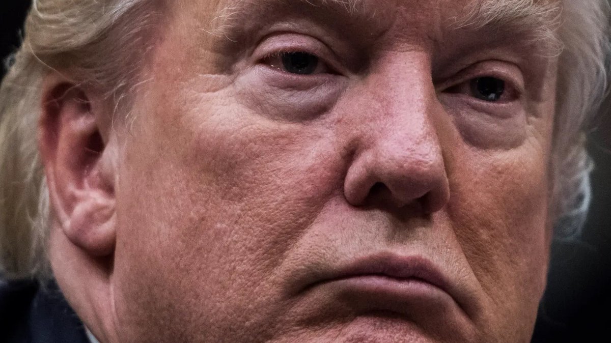 So the adjudicated rapist who raped E Jean Carroll &amp; raped 13yo Katie Johnson who reminded him of his 13yo daughter Ivanka &amp; bragged about sexually assaulting women &amp; forced sex on Stormy Daniels right after Melania gave birth to Barron - wants to push himself on us. Oh hell no.