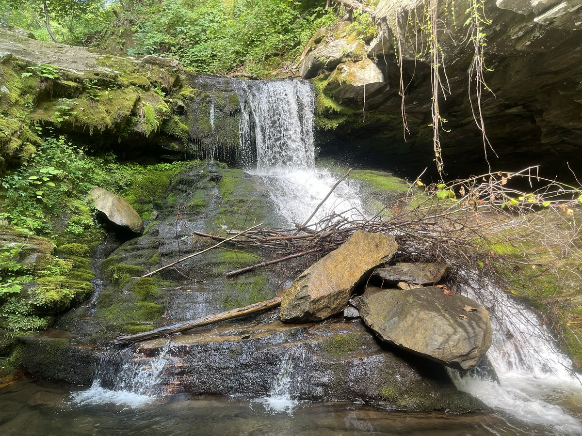 Zach Wallace tweet media