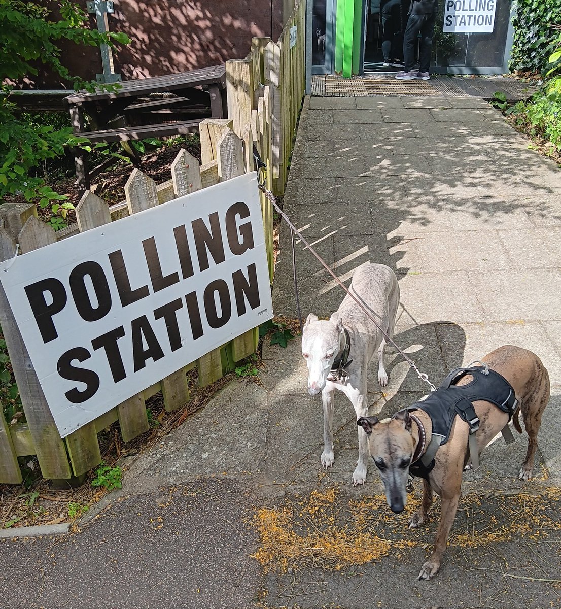 Winnie and Nora in Lewisham West and East Dulwich.
 #dogsatpollingstations