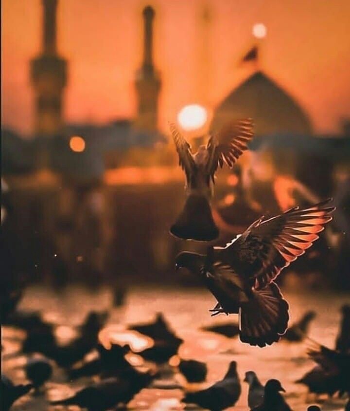 zibayekofte's tweet photo. «دلِ کوفیان با حسین"ع" بود
شمشیرهایشان با یزید ... 
در عجبم از کسی که می‌گوید دِل مُهم‌تر از عَمل است ...»
#محرم_١٤٤٦ https://t.co/9fXcbIS7zR