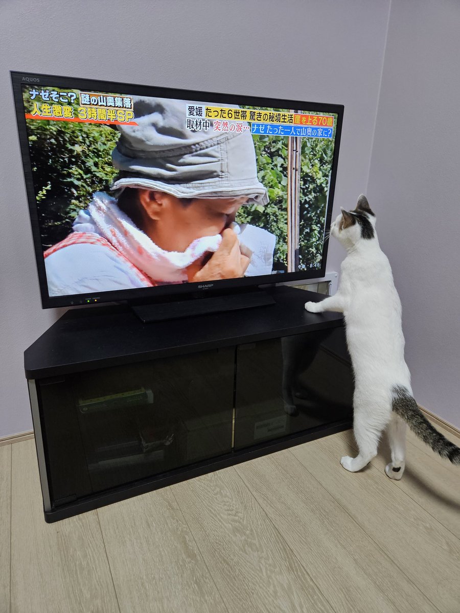 titigenonao's tweet photo. 興味津々 https://t.co/eZFHE4xxmb