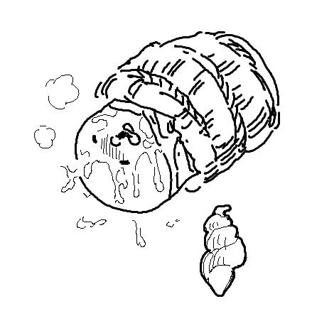 なぜか豊富にある 