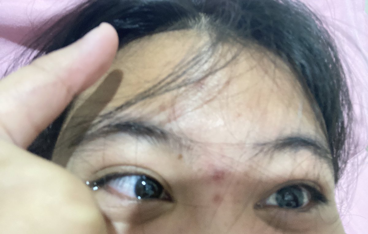 💤🪆🎧🚷 tweet media