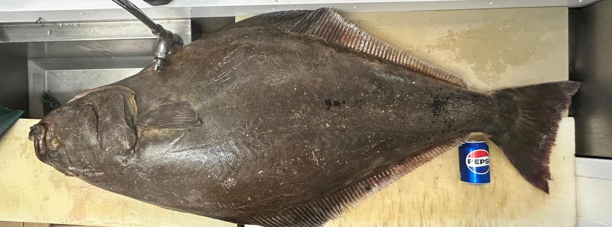 The Whitby Catch tweet media