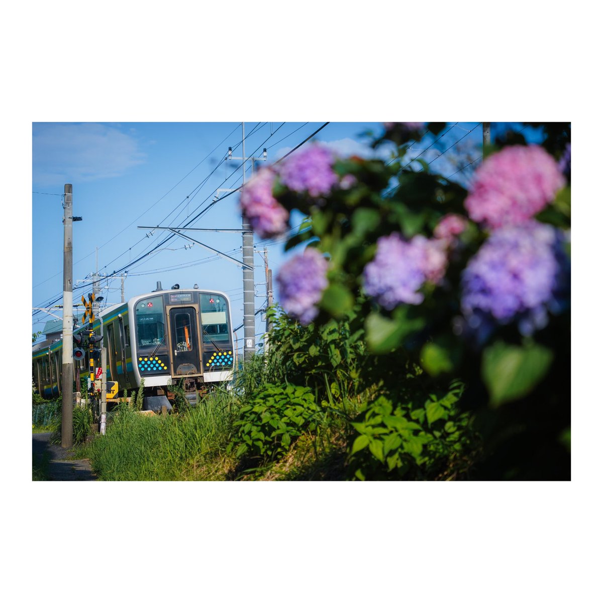 U_Q_railscape's tweet photo. ぐるり。
2024.7.4

#railscape
#外房線
#内房線 https://t.co/8sXgQRs0xC
