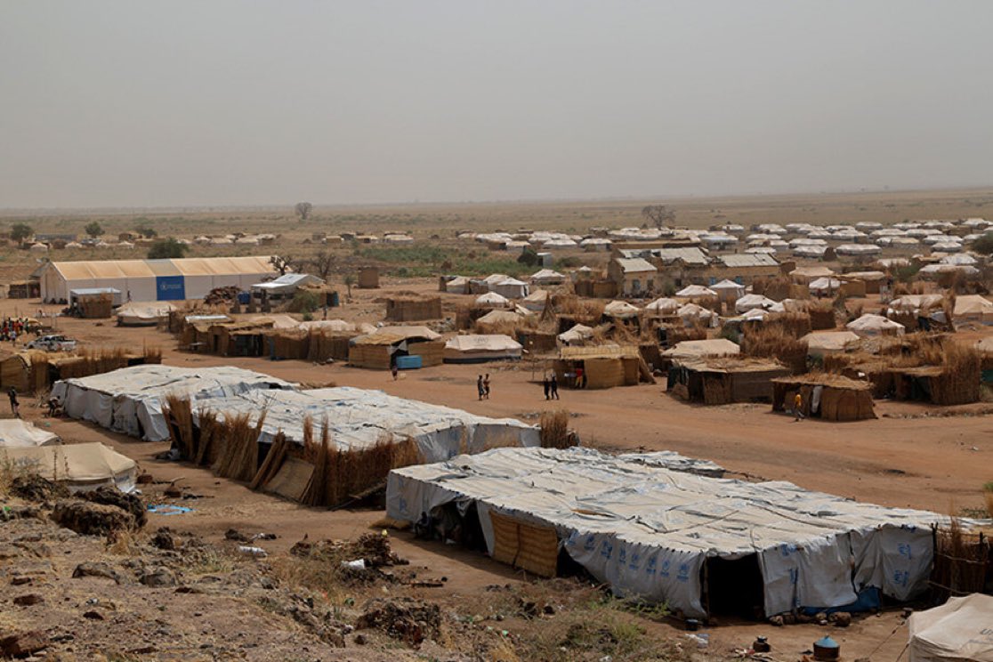 Abraha Teklu tweet media
