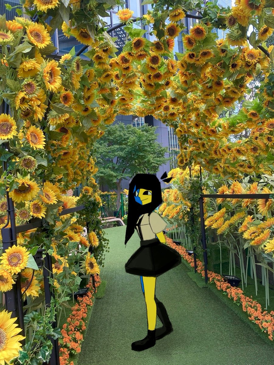 ikitakawa_0's tweet image. 🌻