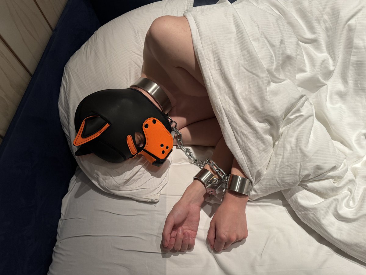 Sleepy Puppy well secured💤