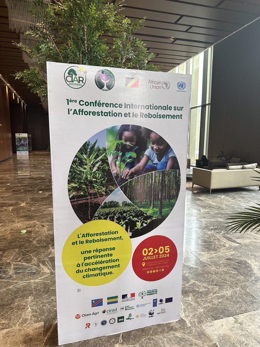 Honorée de participer à la conférence internationale sur l’afforestation et le reboisement⁩ au Congo pour promouvoir la gestion des forêts, l’afforestation et le reboisement comme solution au changement climatique. ⁦⁦<a href="/UNEP_Africa/">UN Environment Programme in Africa</a>⁩  ⁦<a href="/UN_Congo/">ONU Rép du Congo</a>⁩ ⁦<a href="/FAOCongo/">FAO en République du Congo</a>⁩