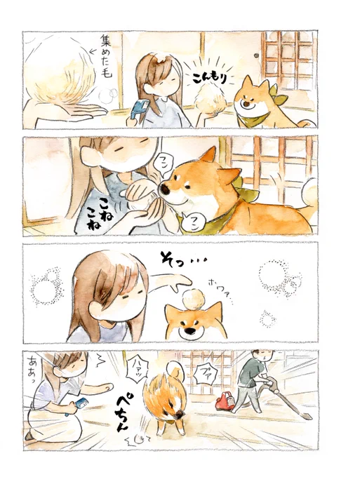 換毛期がやってきた (2/2)

毛玉 VS 毛玉 