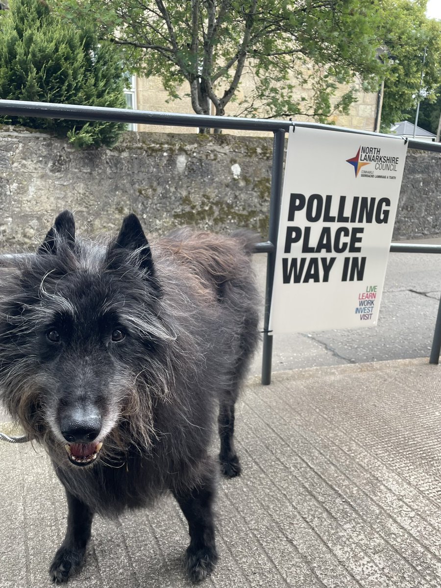 kar2891's tweet photo. Shadow is 14. For his entire life the Conservatives have been in power. Do the right thing today by voting them out, and let Shads enjoy a Tory free government in his twilight years ✖️🗳️. #DogsAtPollingStations #GeneralElection2024 #GE24 https://t.co/c2cNShWI3u