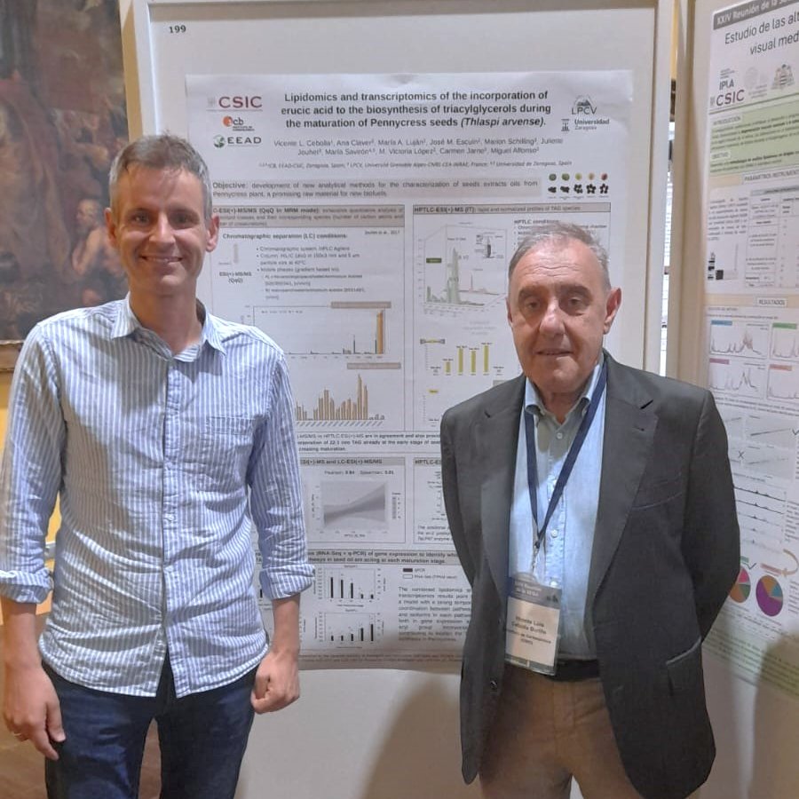 ICB_CSIC's tweet photo. 🌱La planta #Pennycress: un material muy especial para hacer #biocombustibles 

📄 Vicente Cebolla Burillo y José Manuel Escuin Finol presentaron ayer el póster de su trabajo en la @seqa_2024 

🤔¿Por qué es interesante estudiar esta planta?👇 https://t.co/aHU8K7iaOB