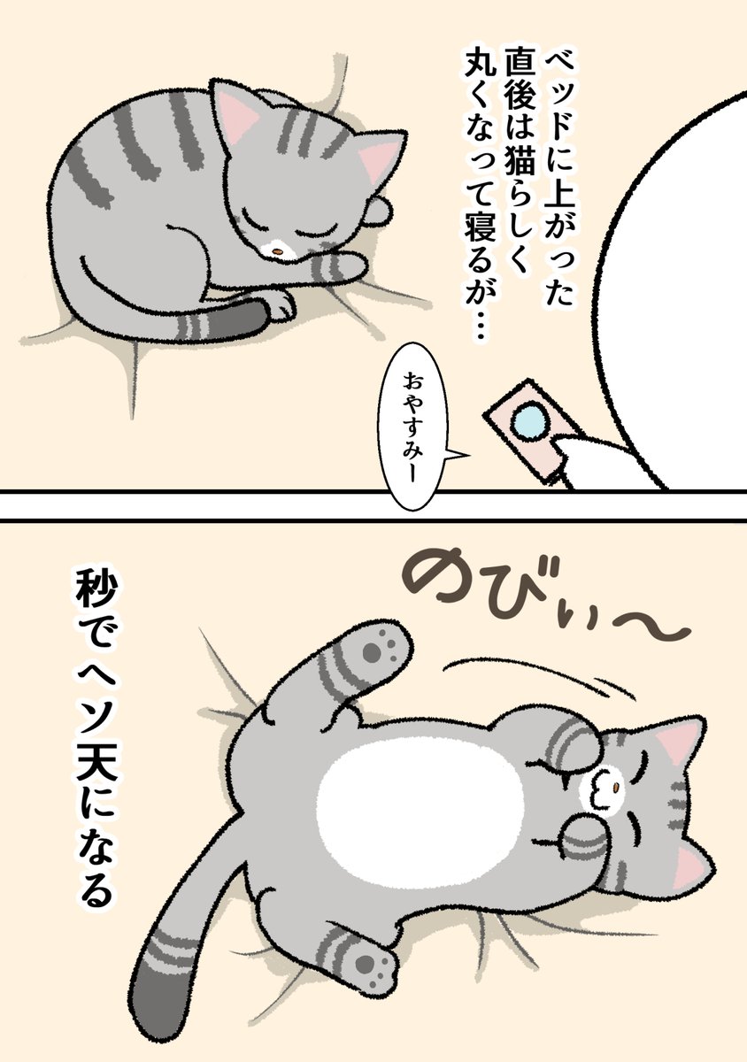 SHISHAMODAISKI's tweet photo. 即ヘソ2コマ
#猫  #猫のいる生活 #猫漫画 #ししゃも
#漫画が読めるハッシュタグ https://t.co/SAkPcxsnJE