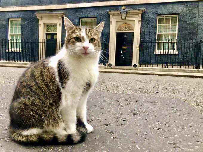 What ever happens in the U.K. elections, one thing is certain—Larry <a href="/Number10cat/">Larry the Cat</a> will remain in residence and that makes me happy.