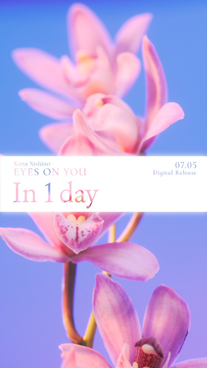 kanayanofficial's tweet photo. 💫-----
新曲"EYES ON YOU"
このあと7/5金0:00配信🌷
　　　　　　　　-----💫

ついに先行配信まであと3時間🌟
Spotify/AppleMusicでの事前予約登録で
自動的に楽曲が追加されます❣️

https://t.co/LwFqTcv6EM

#西野カナ_LoveAgain
#EYESONYOU配信まであと1日
https://t.co/4tddJgT0XR

スタッフ https://t.co/SKh8prg6OI