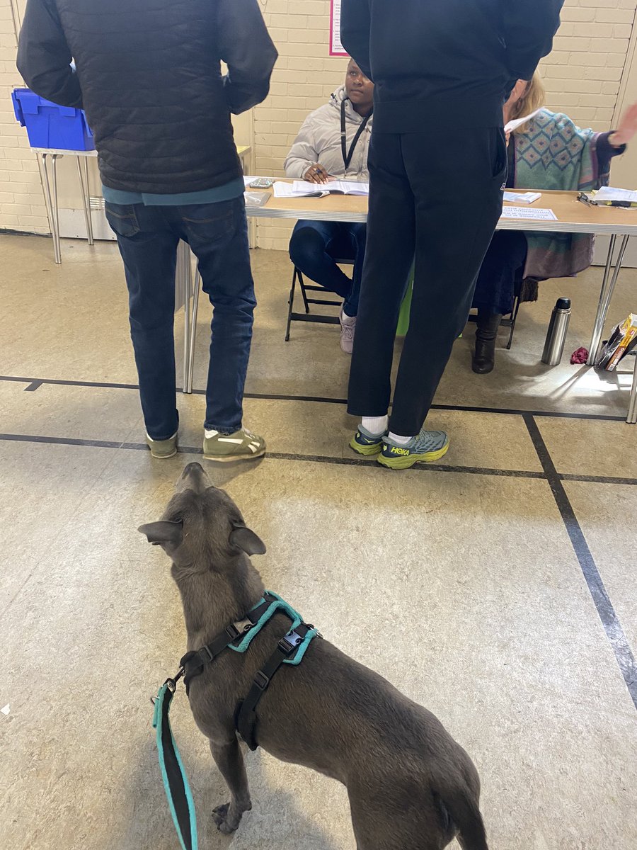 Done ✅

#vote #GeneralElection2024 
#dogsatpollingstations