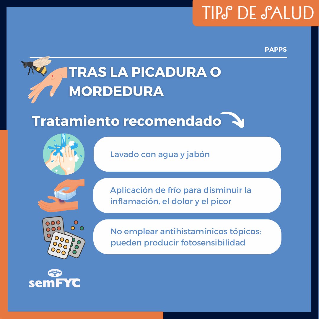 semfyc's tweet photo. @educacion_papps ¿Qué hacer tras la picadura? ¡Te lo contamos!⤵️​

#TipsdeSalud #TipsdeSaludsemFYC https://t.co/9M1MpUPDZp