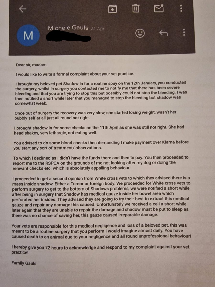 Rubiconski_Revolution ✨🍀🐶🍒💎🦊💫 tweet media