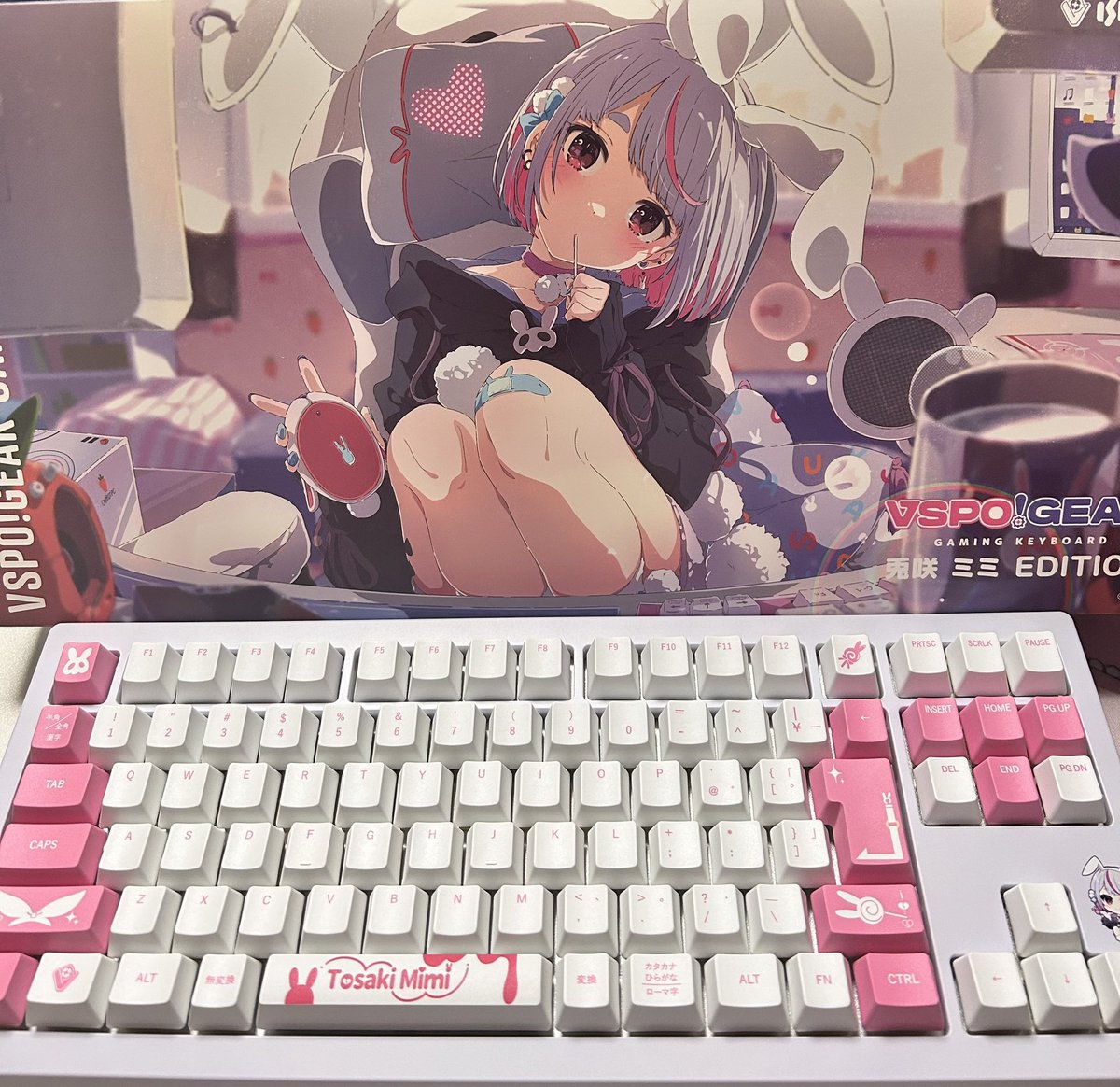 fu_reo2's tweet photo. みみたやのキーボード届いた！
色合いめっちゃ可愛い https://t.co/f3kxmy6Nge