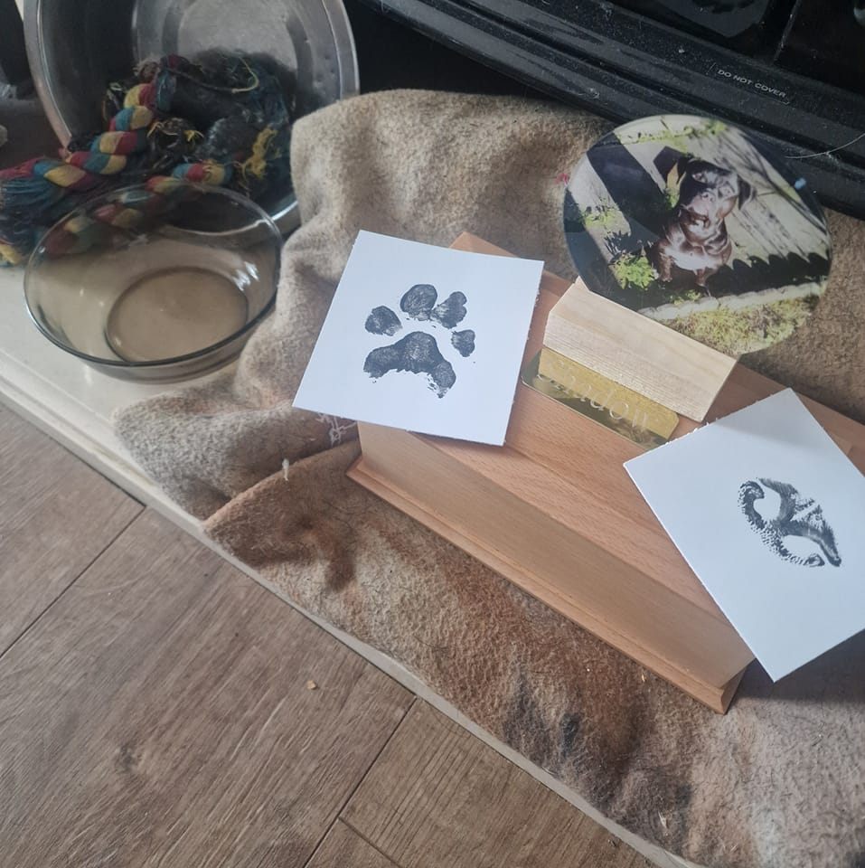 Rubiconski_Revolution ✨🍀🐶🍒💎🦊💫 tweet media