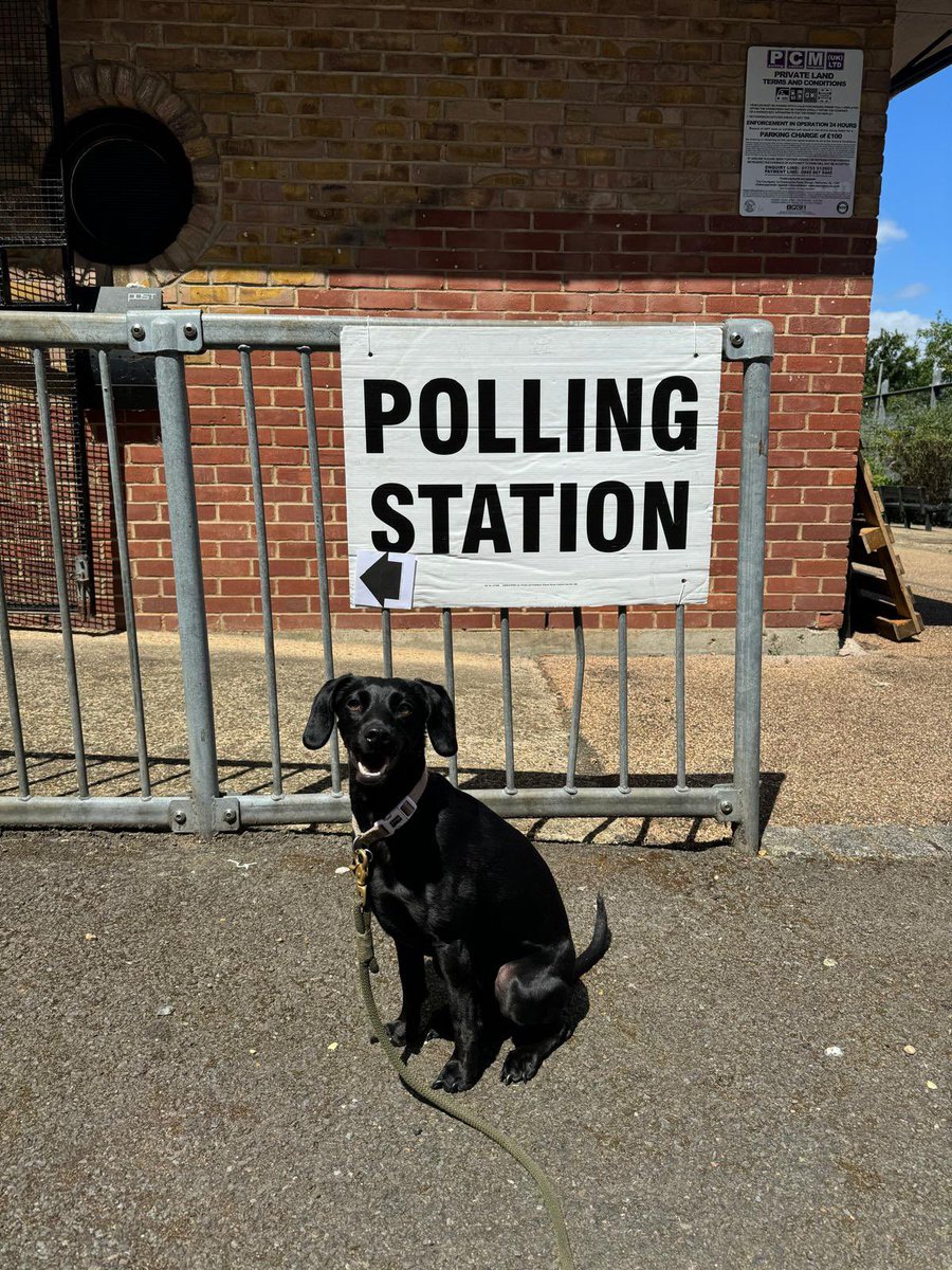 Adam Ball tweet media