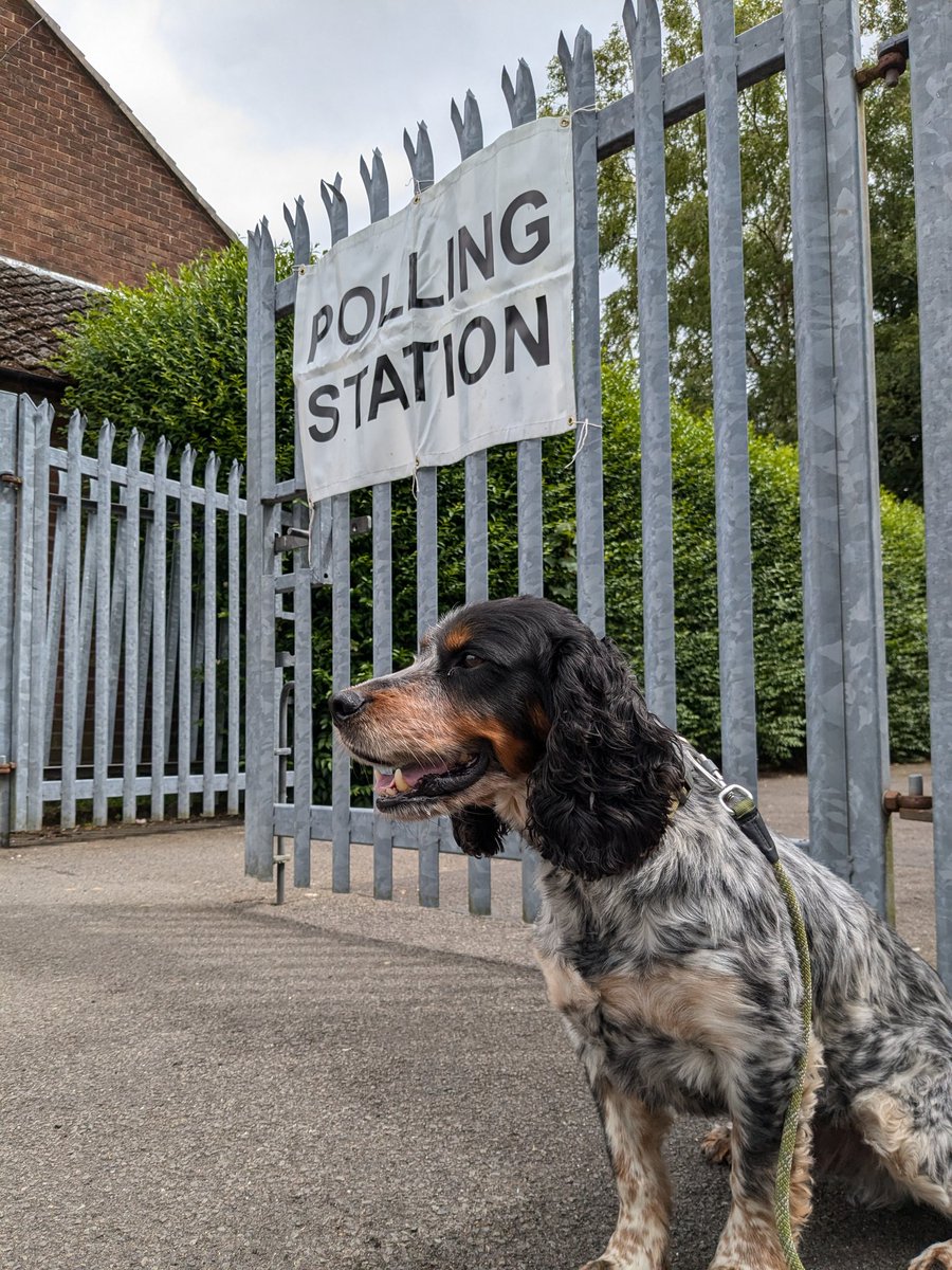 I worry he put his X next to the Gravy Bone Party candidate without much consideration for their wider economic policies...

#generalection2024 #dogsatpollingstations